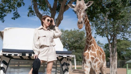 safari-park-in-dubai